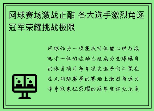 网球赛场激战正酣 各大选手激烈角逐冠军荣耀挑战极限